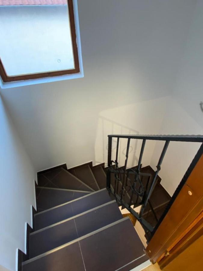 House Reko Villa Belgrado Buitenkant foto